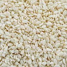 Sesame - Sesamum indicum